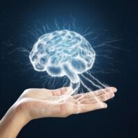 L'immagine raffigura il cervello umano in un palmo della mano come oggetto di studio e di importanza per una vita significativa